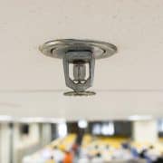 An extract from a Block Manager’s diary!