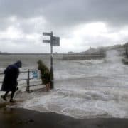 New development estate management